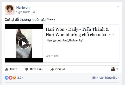 Hari Won chia sẻ đoạn video về chú mèo đáng yêu.
