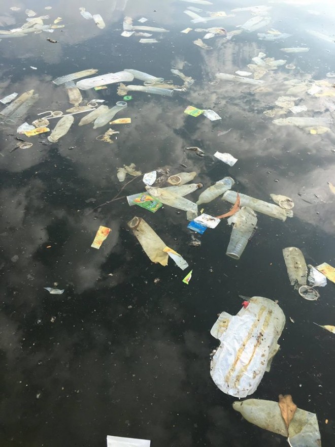 15109376_343590496002980_5657941973280246172_n