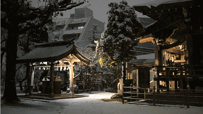 Sau 54 năm chờ đợi, tuyết có rơi vào tháng 11 tại trung tâm thủ đô Tokyo ? Ảnh 2