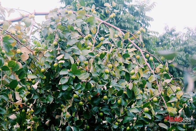 Processed with VSCO with c1 preset