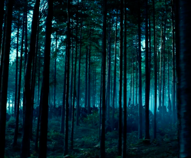 screen-shot-2016-12-06-at-11-46-53