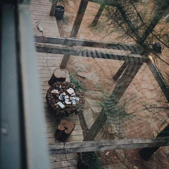 15327239-10210274008701921-2556961931622102191-n-1480957447893