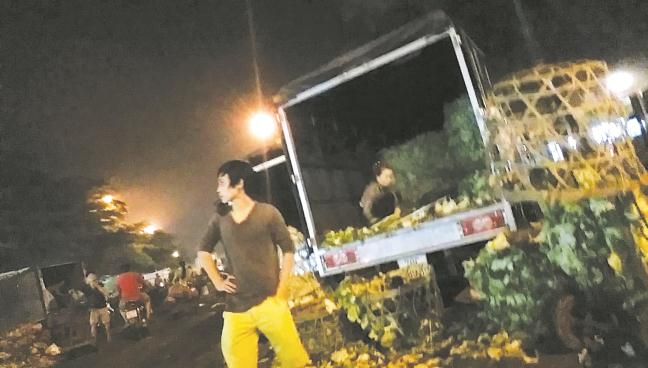 bc-tran-duong-dy-che-bien-cai-bac-thao-tu-rc-thai