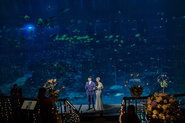 "Sân khấu" là đại dương xanh với hàng nghìn loại cá.