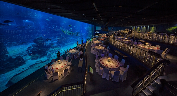 Khách khứa vừa theo dõi lễ cưới, vừa chiêm ngưỡng cảnh đẹp đại dương