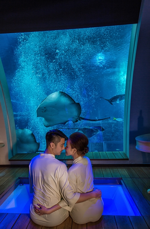 co-dau-viet-chi-gan-2-ty-dong-bao-tron-thuy-cung-lon-nhat-the-gioi-lam-dam-cuoi-10-145619