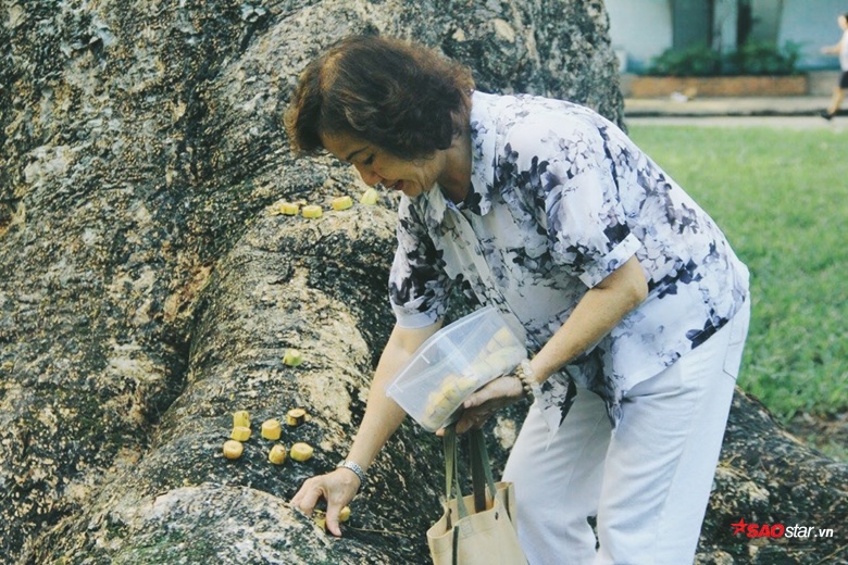 Những chú sóc ở công viên và 'đặc sản' lòng tử tế của người Sài Gòn