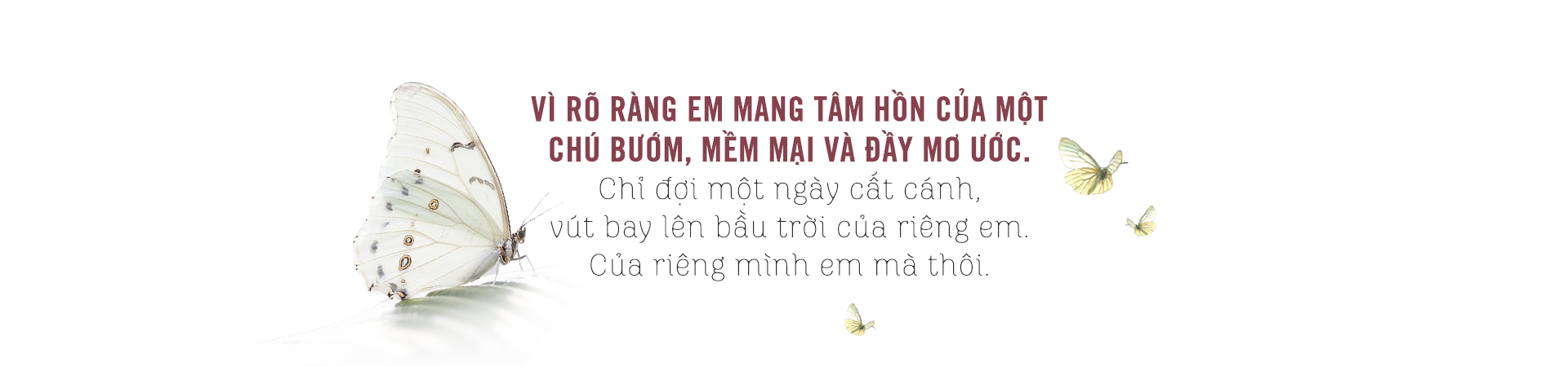 Chuyện đời của cô bóng Mong Manh: ‘Làm bóng không được nghèo’ (phần 1) Ảnh 7