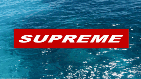 BST Supreme Thu Đông 2017 lên kệ với giá rẻ 'như cho' khiến fan ngỡ ngàng Ảnh 2