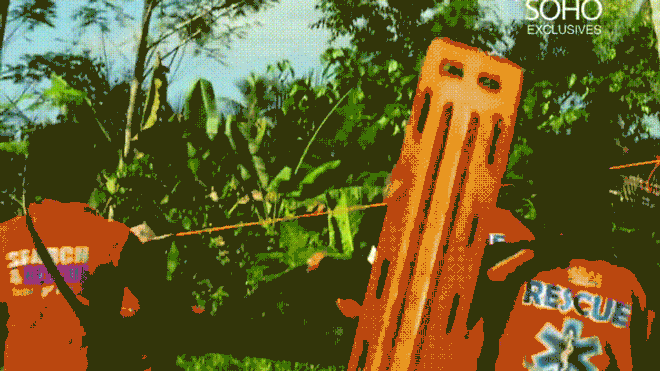 Người đàn ông ở lì trên cây dừa 3 năm không chịu xuống, dân làng đành chặt cây 'giải cứu' Ảnh 2