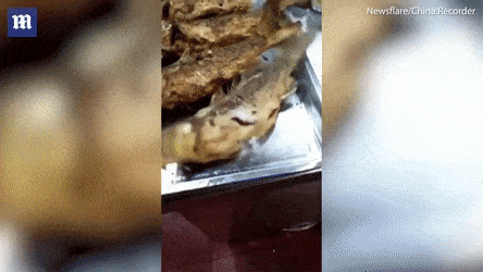 VIDEO sốc: Cá vùng vẫy trên đĩa dù đã được chiên vàng Ảnh 2