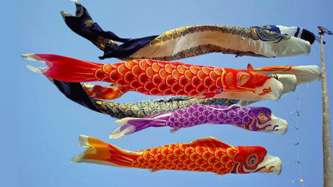 Có gì hấp dẫn tại lễ hội 'Cánh đồng cá Koi Mizuki Park' khiến ai nấy đều háo hức? Ảnh 2