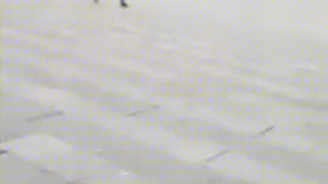 CLIP khó tin: Cuồng phong thổi bay người 'lăn lông lốc' trên đường Ảnh 2