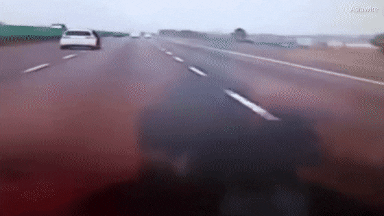 Cãi nhau với bạn trai, cô gái lao ra khỏi ôtô đang chạy trên cao tốc Ảnh 2