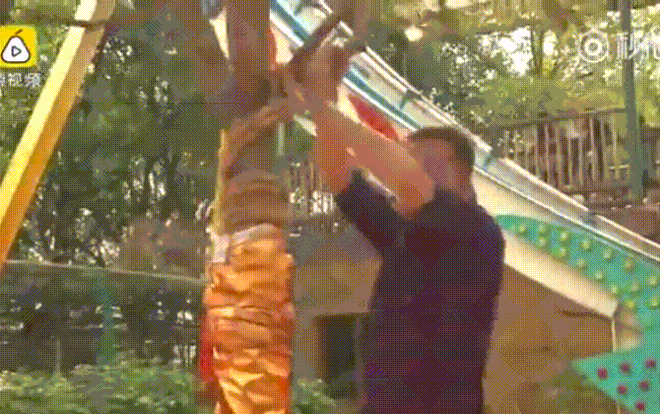 Rung ‘cây tiền’ thật lực để lấy lì xì 3.500 đồng Ảnh 2