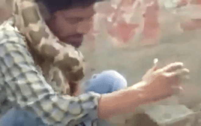 Người đàn ông bị con trăn siết chặt cổ tới ngạt thở, khán giả mặc kệ vì tưởng đang diễn Ảnh 2