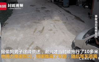 Cố giành lại thú cưng từ tay cẩu tặc, chủ chó bị kéo lê tới chết Ảnh 2