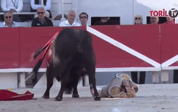 Đấu sĩ bị bò tót tấn công thừa sống thiếu chết Ảnh 2