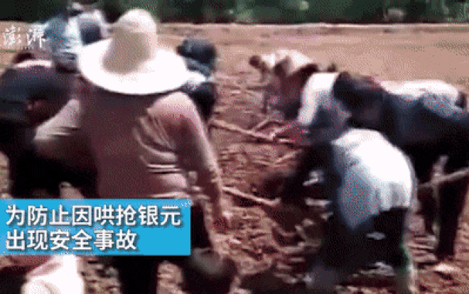 Cả làng ùn ùn kéo nhau đào bới, truy lùng kho báu Ảnh 2