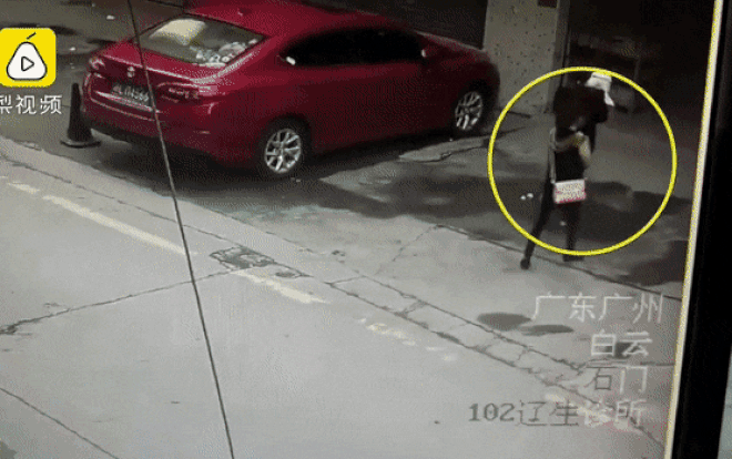 Đang đi đường, cô gái bị… chó rơi trúng đầu Ảnh 2