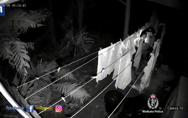 Gã biến thái nửa đêm lẻn vào vườn trộm duy nhất bộ đồ lót Ảnh 2