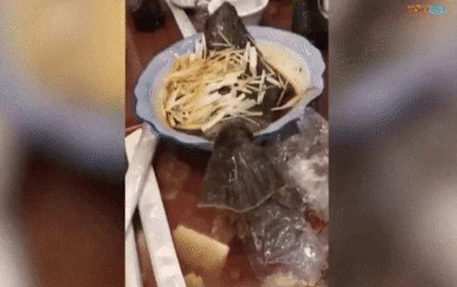 Cá vặn vẹo nhảy khỏi đĩa dù đã được nấu chín Ảnh 2