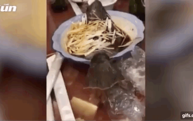 Đang ăn bỗng nhiên cá cứ tưởng đã chín nhảy ra khỏi đĩa khiến thực khách choáng váng, hết hồn Ảnh 2