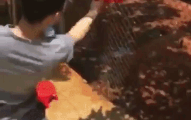 Cả thế giới ra mà xem con trai 'nhà người ta' vẩy rau như múa võ Lý Tiểu Long mà chẳng làm rớt cọng nào Ảnh 2