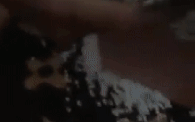 Nỗi kinh hoàng mang tên 'anh em bạn bè thân thiết' trong ngày cưới Ảnh 2