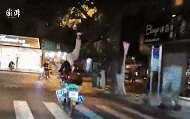 Người đàn ông chống đẩy, chạy trên yên xe máy làm náo loạn đường phố Ảnh 2