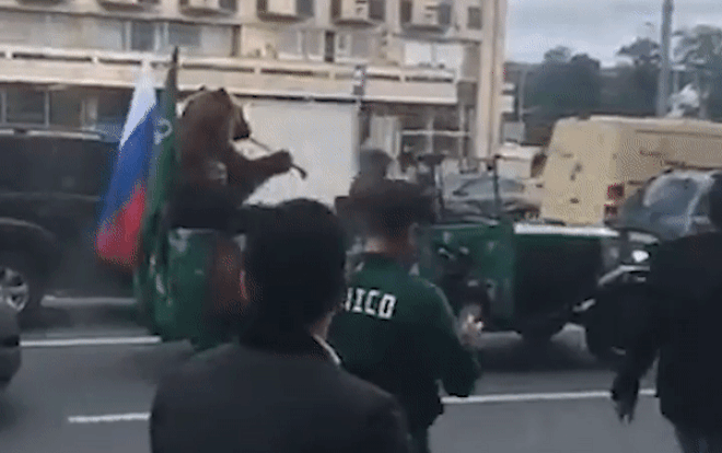 Để gấu thổi kèn vuvuzela, diễu hành trên phố mừng chiến thắng World Cup gây tranh cãi Ảnh 2