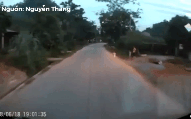 Thót tim clip em bé bất ngờ băng băng chạy qua đường khiến tài xế phải bóp phanh 'cháy lốp' Ảnh 2