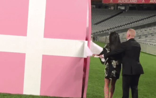 Cầu hôn bằng Range Rover hồng tiền tỷ, cô gái hạnh phúc gật đầu tắp lự Ảnh 2