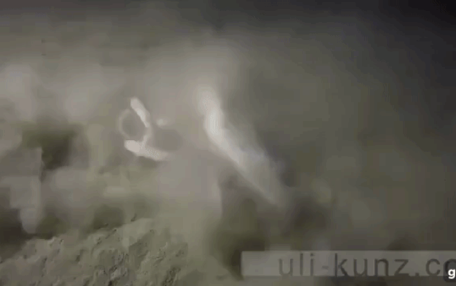 Quái vật hút máu như ma cà rồng ở đáy biển: Cơn ác mộng của cả cá mập! Ảnh 2