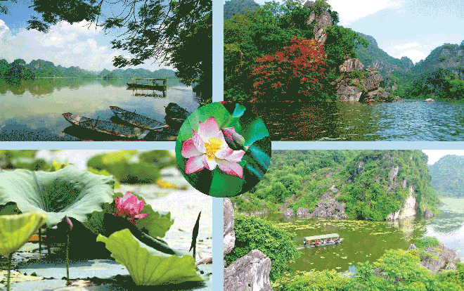 Đi ngay thôi, sen ở Hồ Quan Sơn đang nở rộ! Ảnh 2