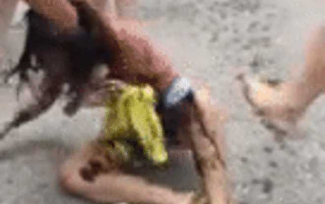 Đánh ghen kinh hoàng: Vợ bầu sắp sinh bất ngờ lao đến hắt mắm tôm và dầu luyn lên người nhân tình của chồng Ảnh 2