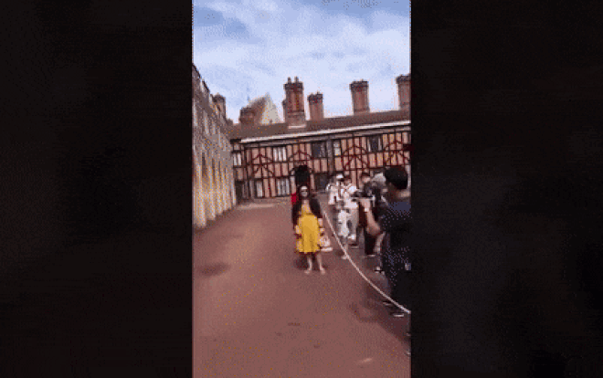 Cản đường lính canh của Nữ hoàng Anh, người phụ nữ suýt ngã 'sấp mặt' Ảnh 2