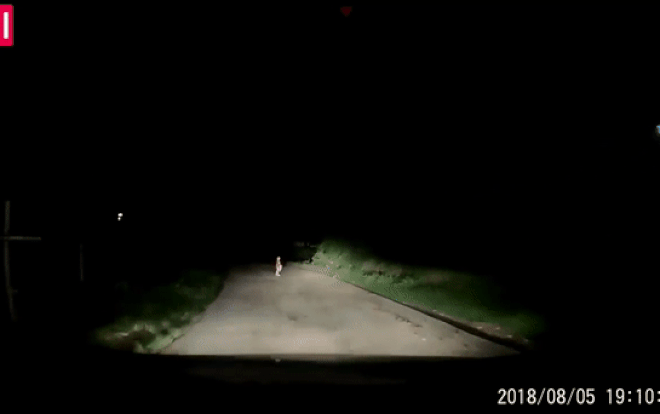 Tài xế 'thót tim' phanh gấp khi thấy một em bé đứng bơ vơ giữa đường trong đêm tối Ảnh 2