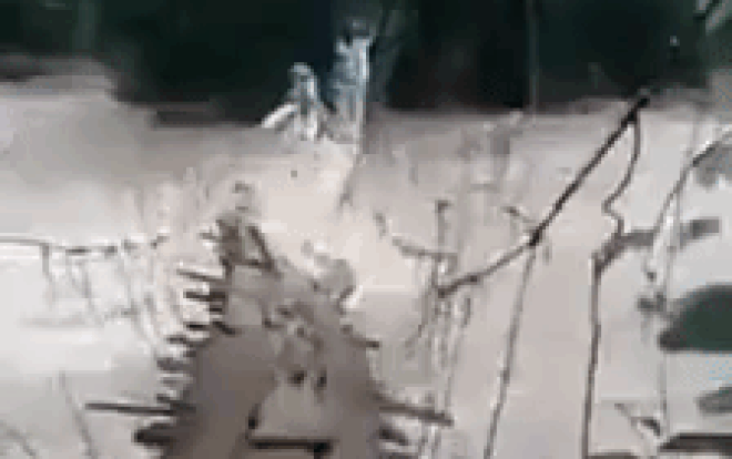 Thót tim xem cảnh người dân Lâm Đồng bất chấp tính mạng vượt cầu treo tạm bợ sắp bị nước lũ cuốn trôi Ảnh 2