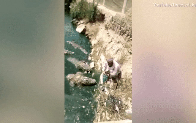 Video: Người đàn ông liều mình đưa thịt cho bầy cá sấu đói ăn Ảnh 2