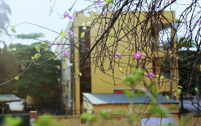 Chùm ảnh chứng minh chỉ cần gió thu tràn về, Hà Nội đi đến đâu cũng đẹp long lanh như tranh vẽ Ảnh 2