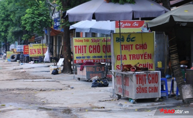 Ám ảnh những ánh mắt của đàn chó, mèo tuyệt vọng trong cũi sắt chờ ngày bị giết thịt ở Hà Nội Ảnh 1