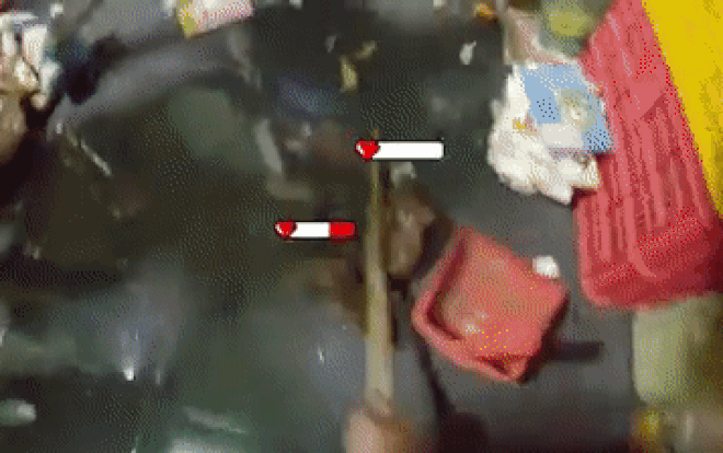 'Nợ dầu phải trả bằng máu' anh chàng truy sát cả họ hàng nhà chuột rồi dựng clip phong cách game đối kháng Ảnh 2