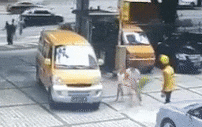 Những pha 'ăn vạ' diễn như không diễn của người đi đường Ảnh 2