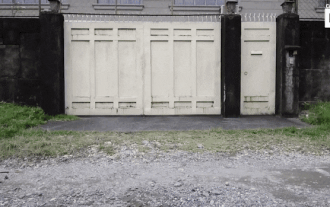 Nghị lực sinh tồn của chú chó không có 2 chân sau Ảnh 2