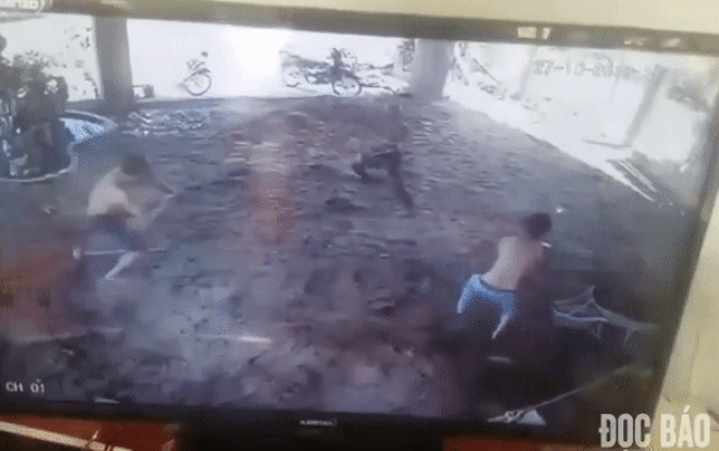 Con rể cầm mác dài cả thước hung hăng xông vào nhà định chém bố vợ cũ Ảnh 2