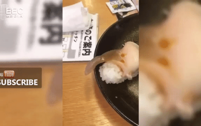 Hoảng hồn với hình ảnh con nghêu ngọ nguậy trên miếng cơm đạt hơn 4 triệu lượt xem Ảnh 2