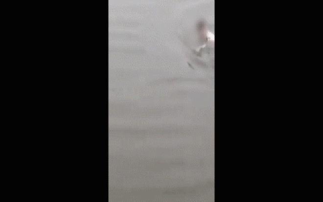 Quyết tâm nhảy cầu tự tử, cô gái rơi xuống sông lại nổi lên chờ người ứng cứu Ảnh 2