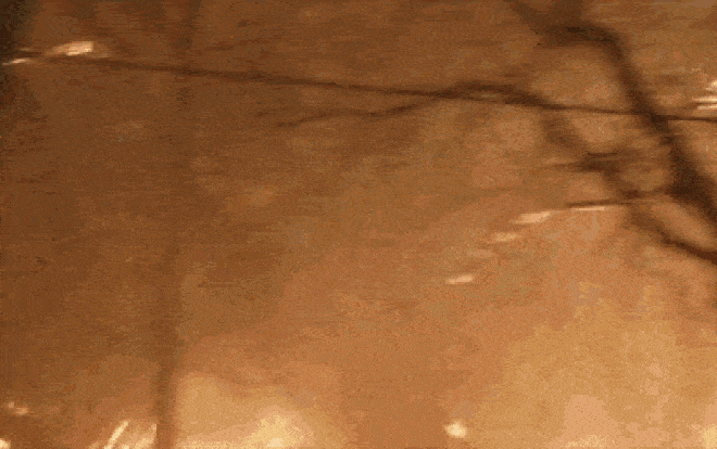 Đứng tim cảnh lái xe xuyên qua ‘địa ngục’ cháy rừng California Ảnh 2