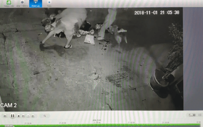 Mâu thuẫn chuyện đổ rác, hàng xóm nổ ra 'trận chiến' ném rác vào nhau túi bụi gây tranh cãi Ảnh 2